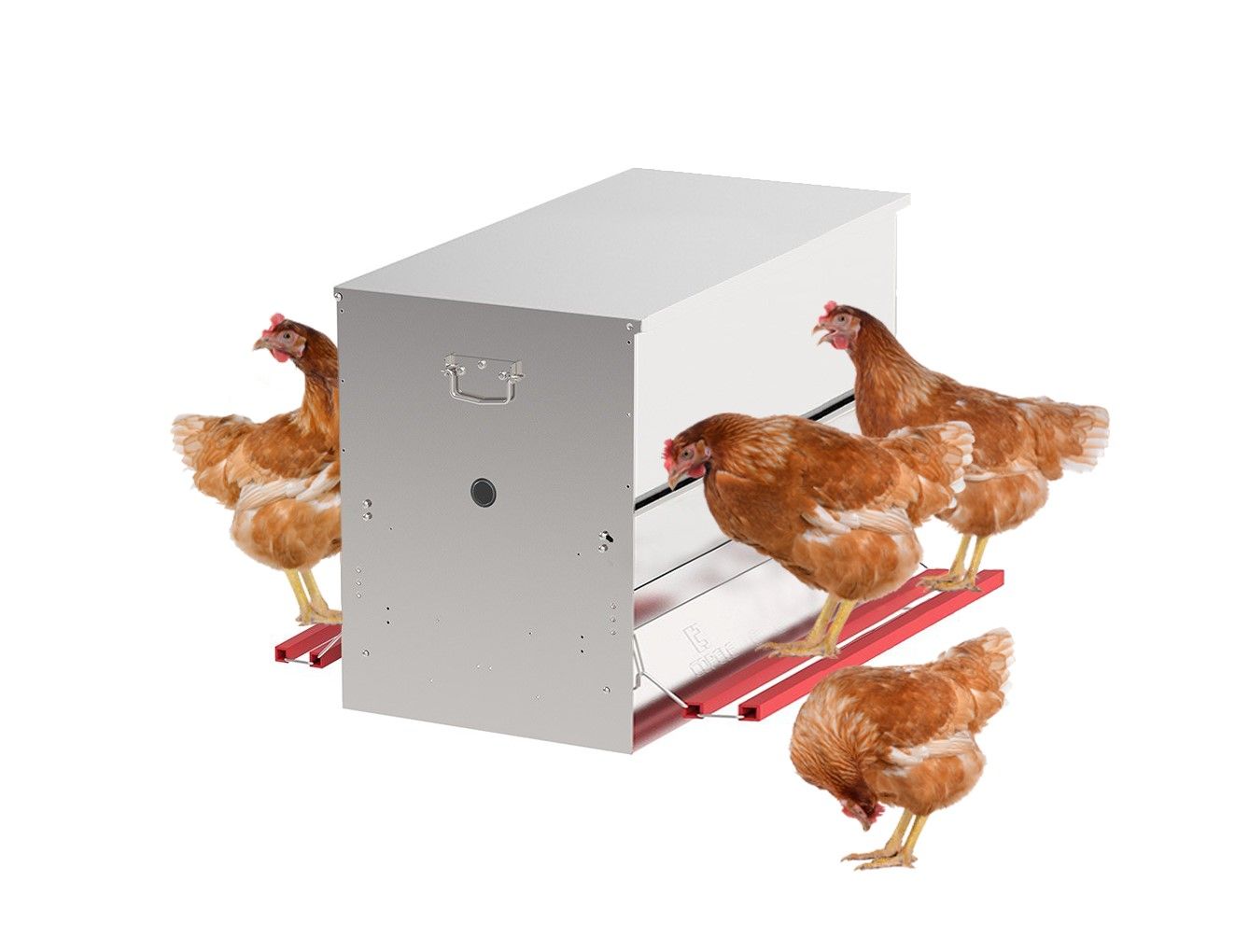 Safeed Automatic Poultry Feeder