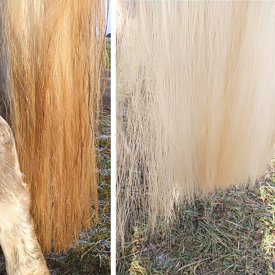 Leovet Shiny White Stain Eraser Spray