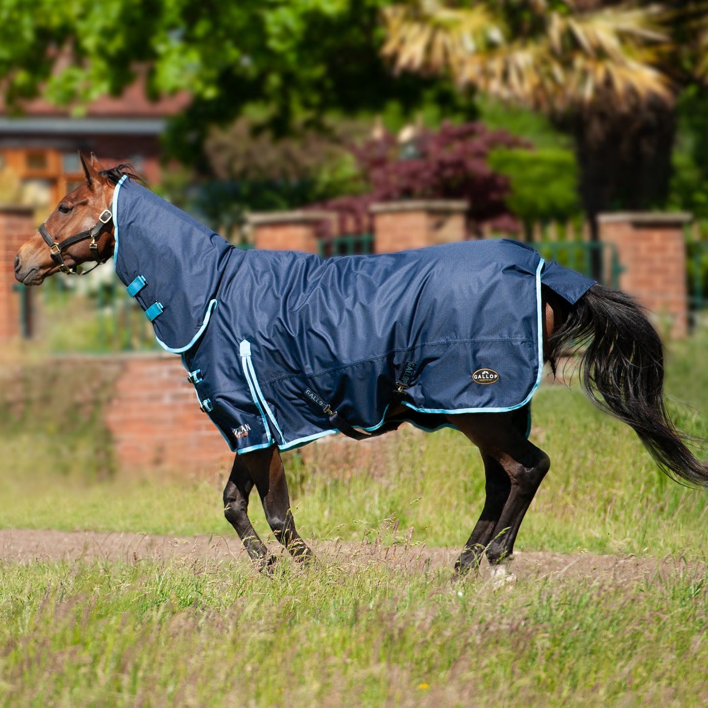 Gallop Trojan Duraproof 350g Turnout Combo Navy