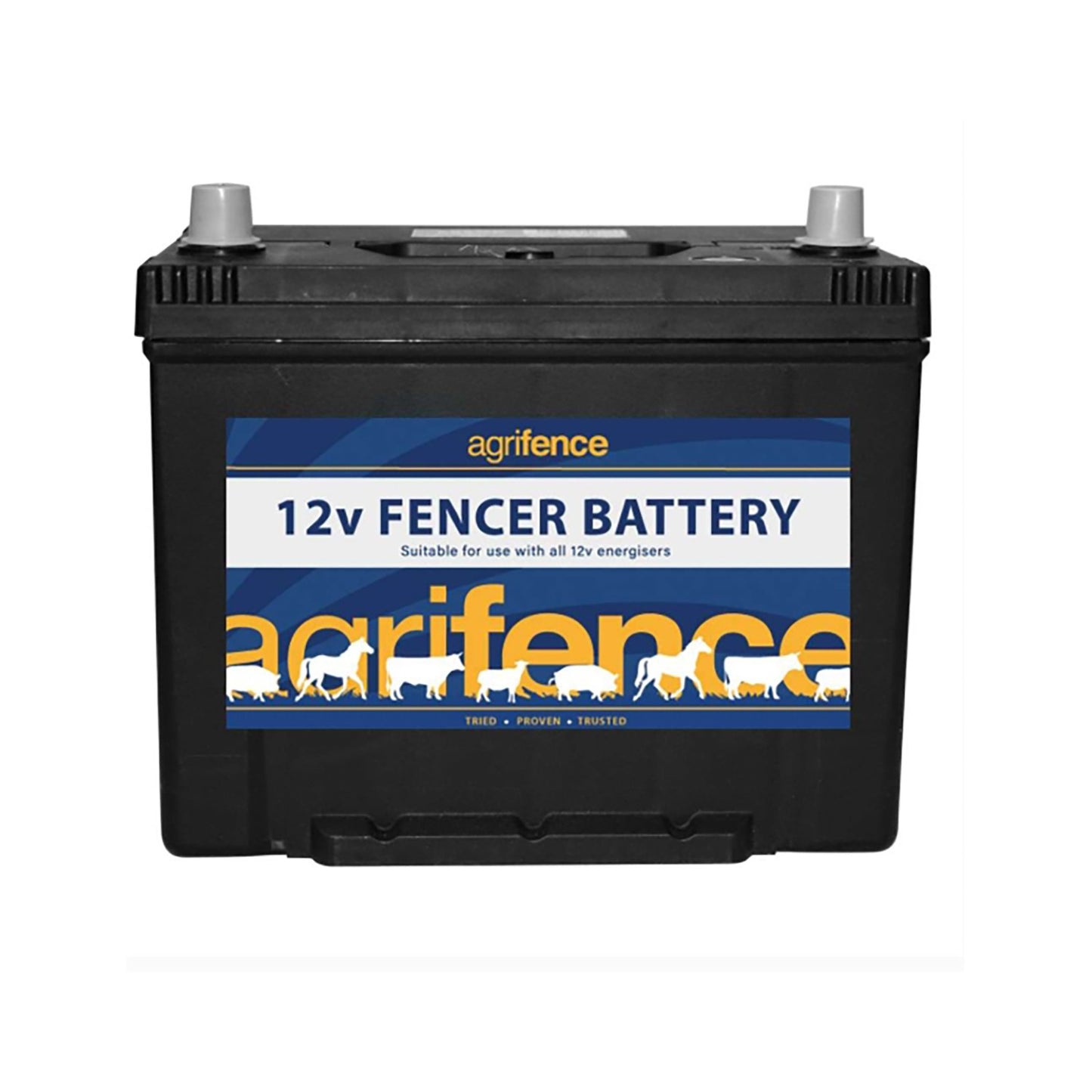 Agrifence 12 V Rechargeable Fencer/Leisure Battery
