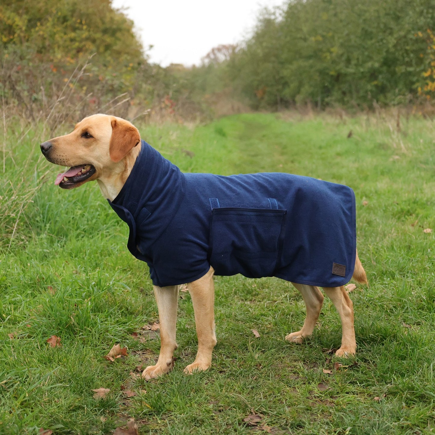 Benji & Flo Classic Drying Dog Robe Navy - Xlarge