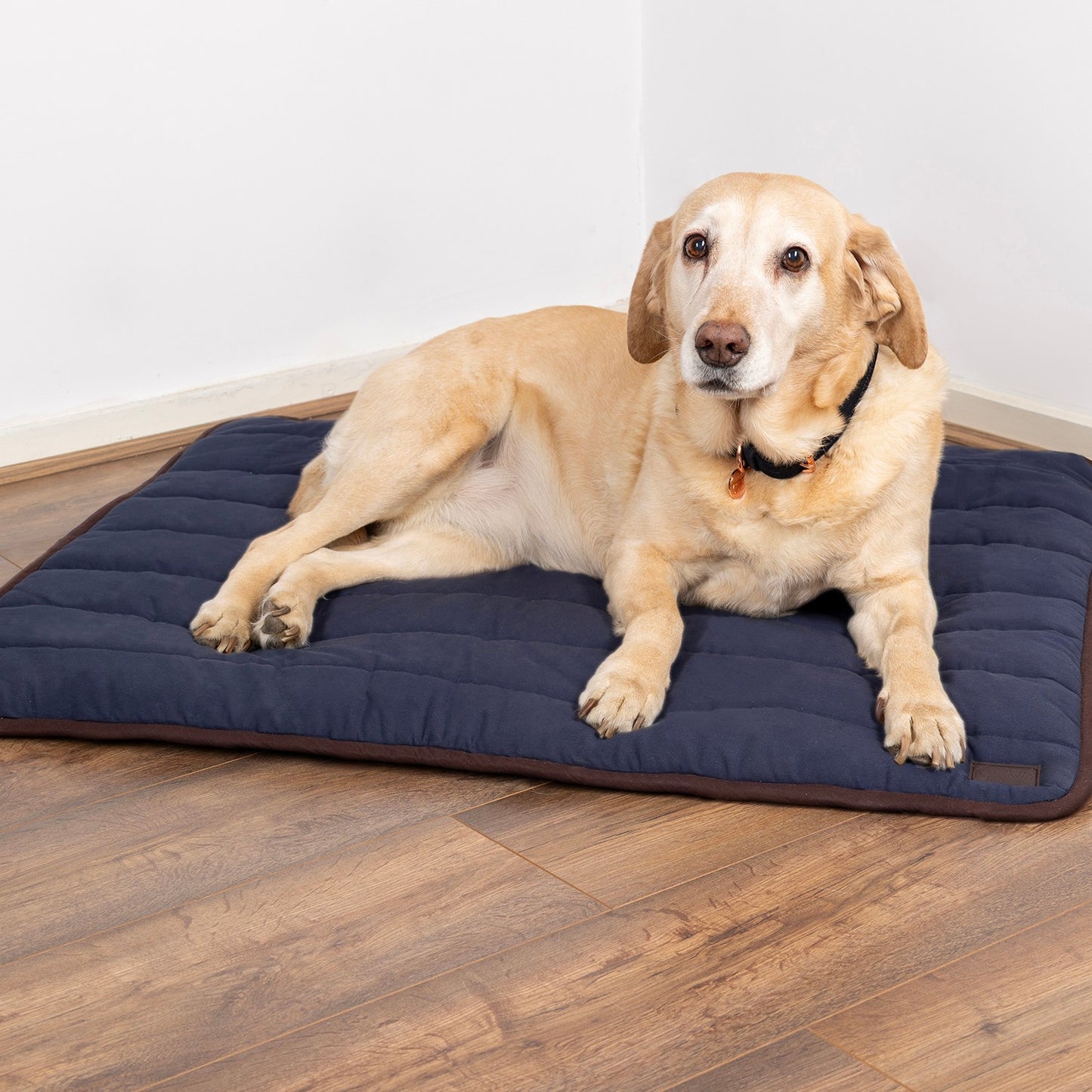 Benji & Flo Comfort Dog Bed Navy/Chocolate - 80 x 100 Cm