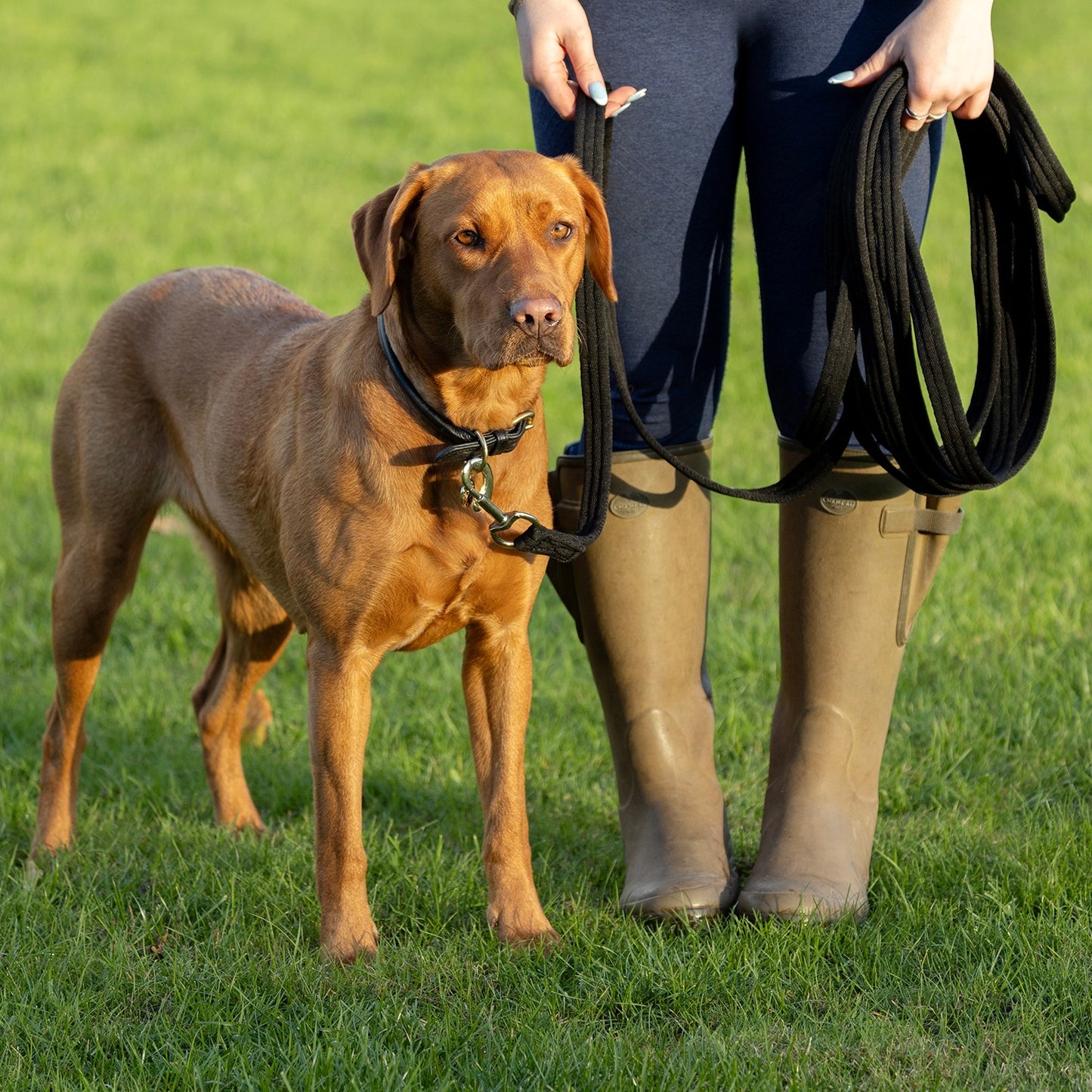 Benji & Flo Training Longline Navy - 8 M