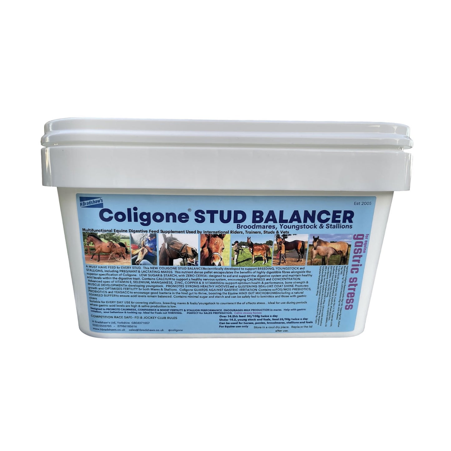 Coligone STUD BALANCER