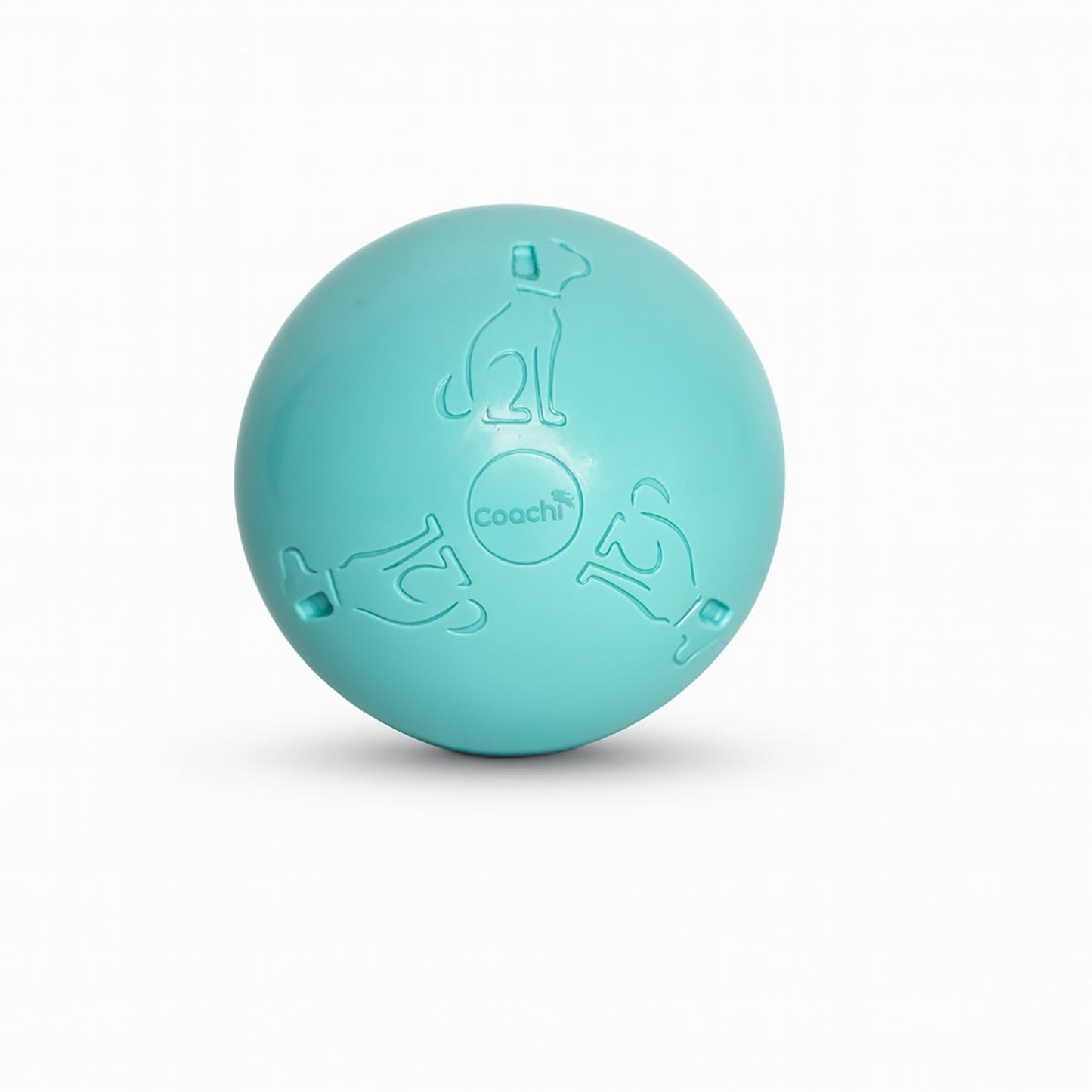 Coachi Puppy & Mini Boomi Ball Cool Mint - 4" (10 Cm)