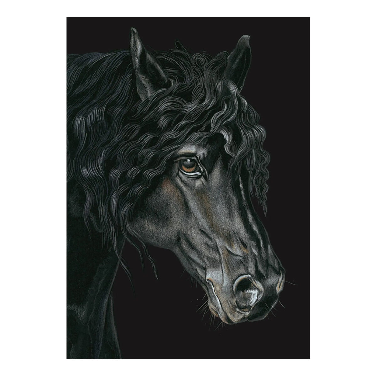 Deckled Edge Eureka! A4 Print The Friesian