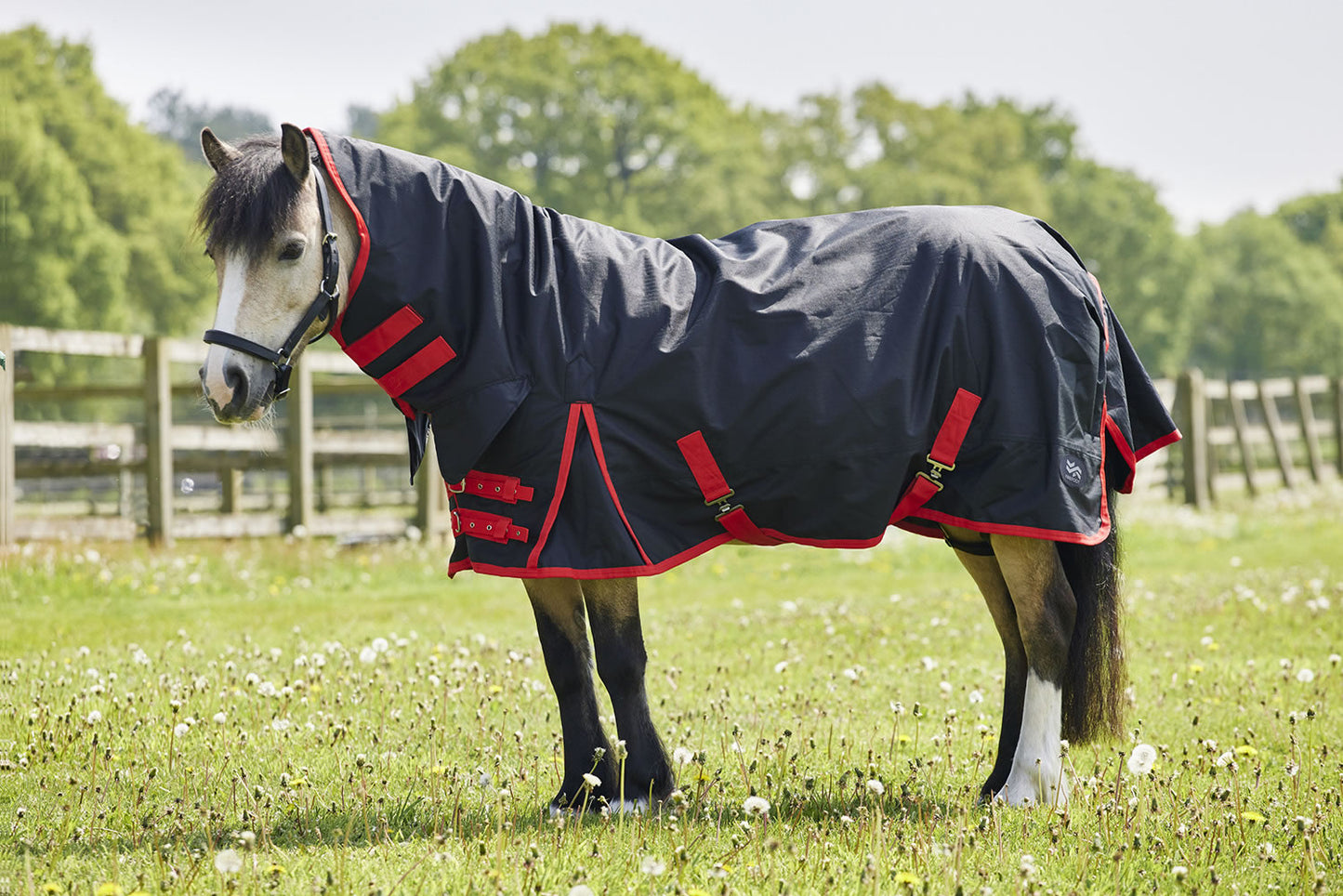 Firefoot Pony Rug Fixed Neck 100 Gm Black/Red