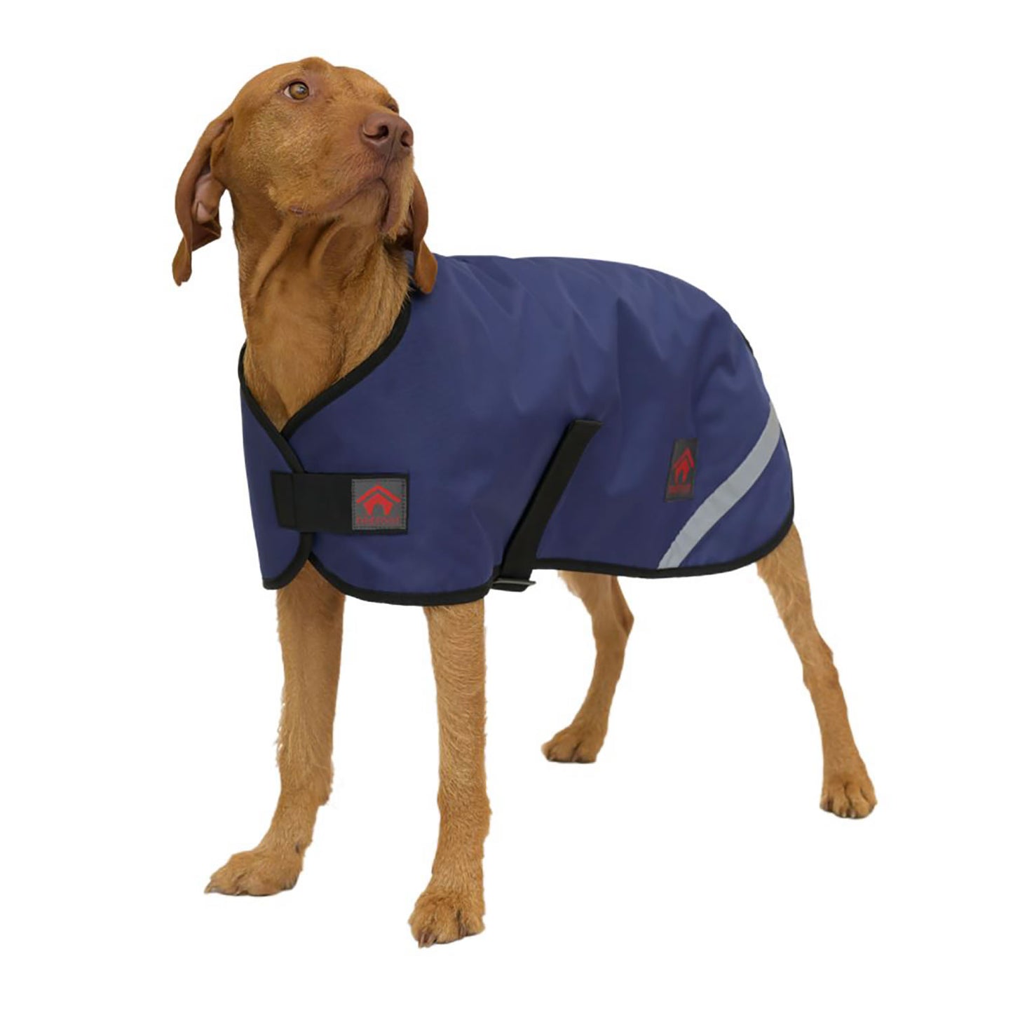 Firefoot Outdoor Dog Coat with Fleecy Lining - 30 Cm