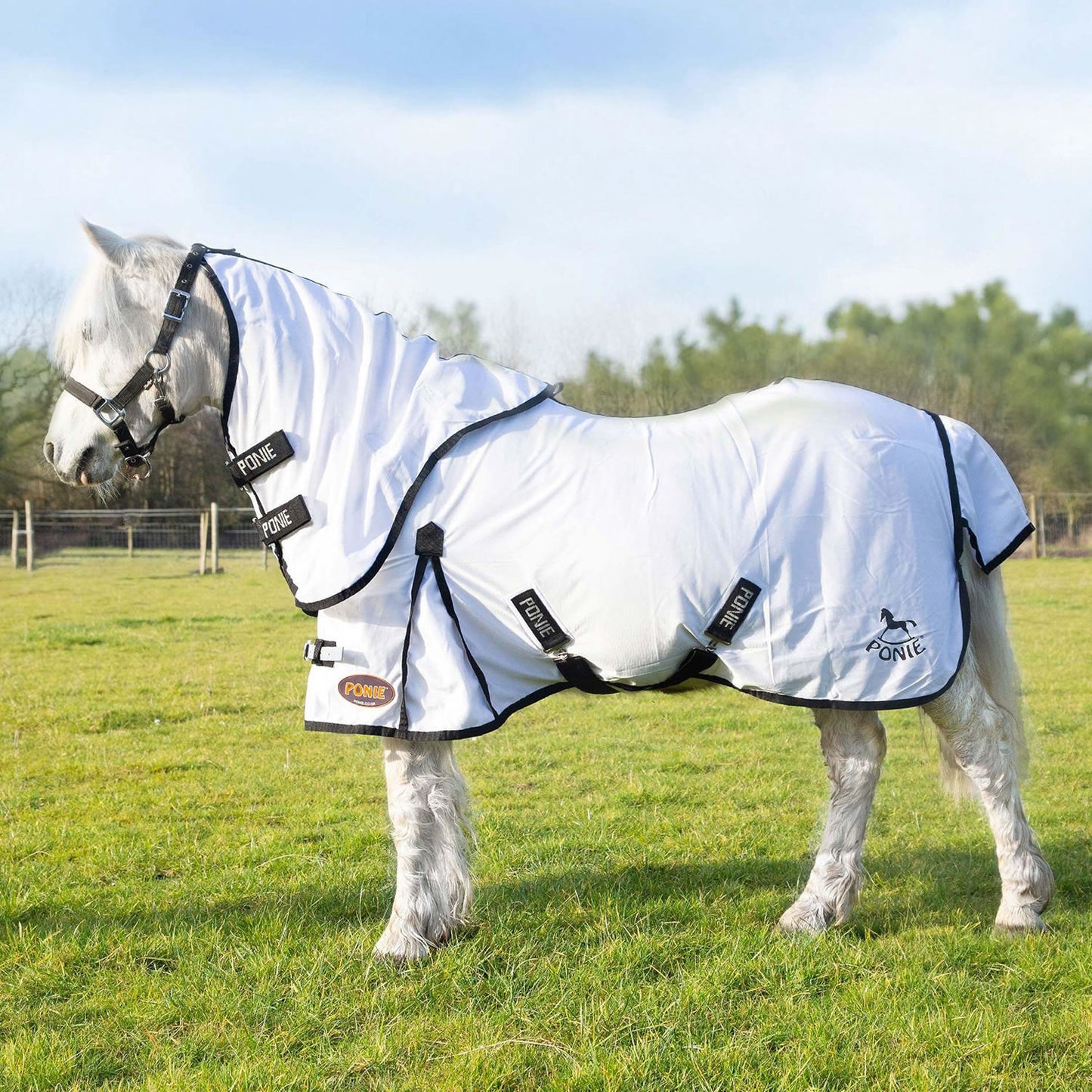Gallop Ponie Dual 5-Point Fly Rug & Neck Set White