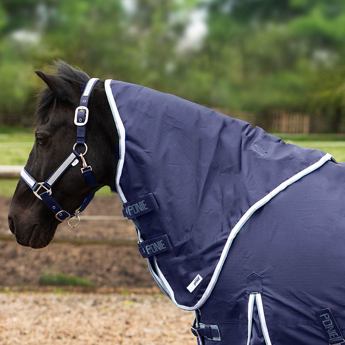 Gallop Ponie Duraproof 5-Point Lightweight Neck Cover Navy