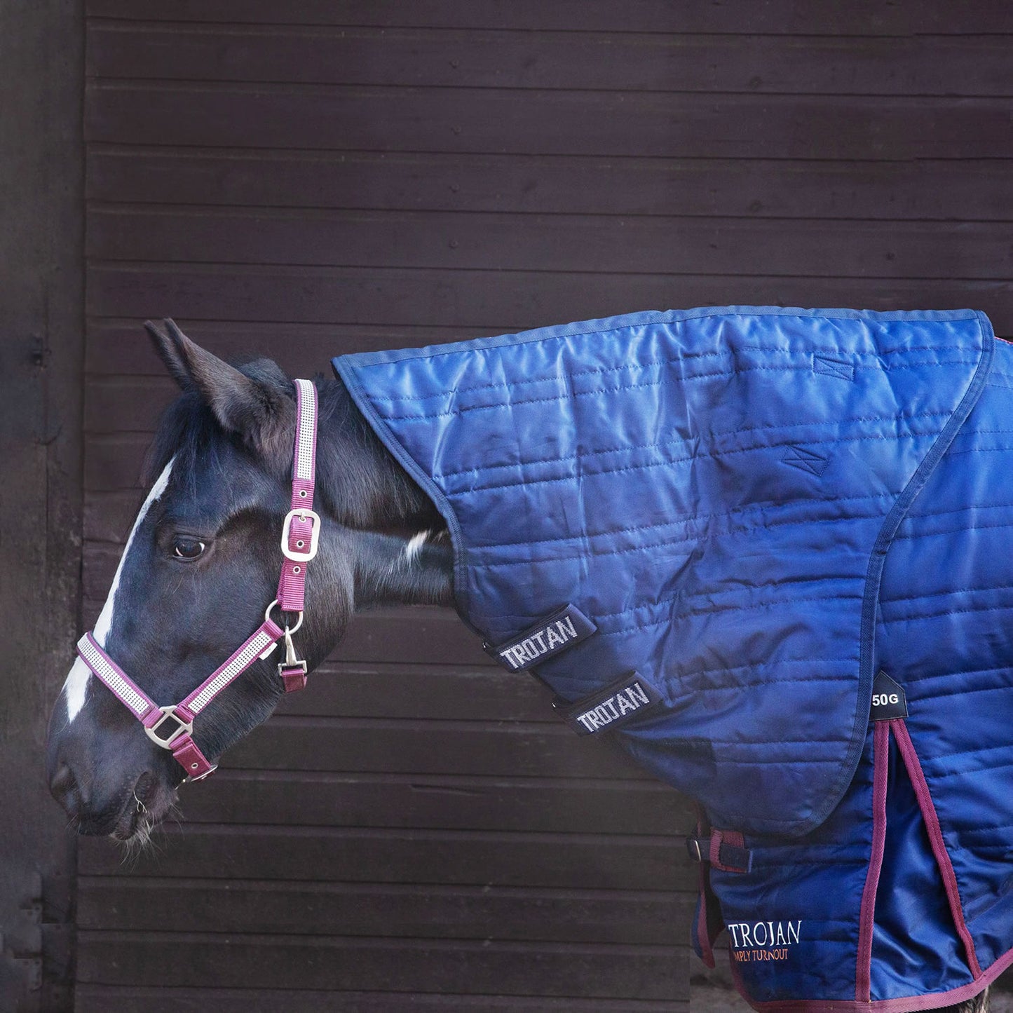 Gallop Trojan 50g Stable Neck Cover