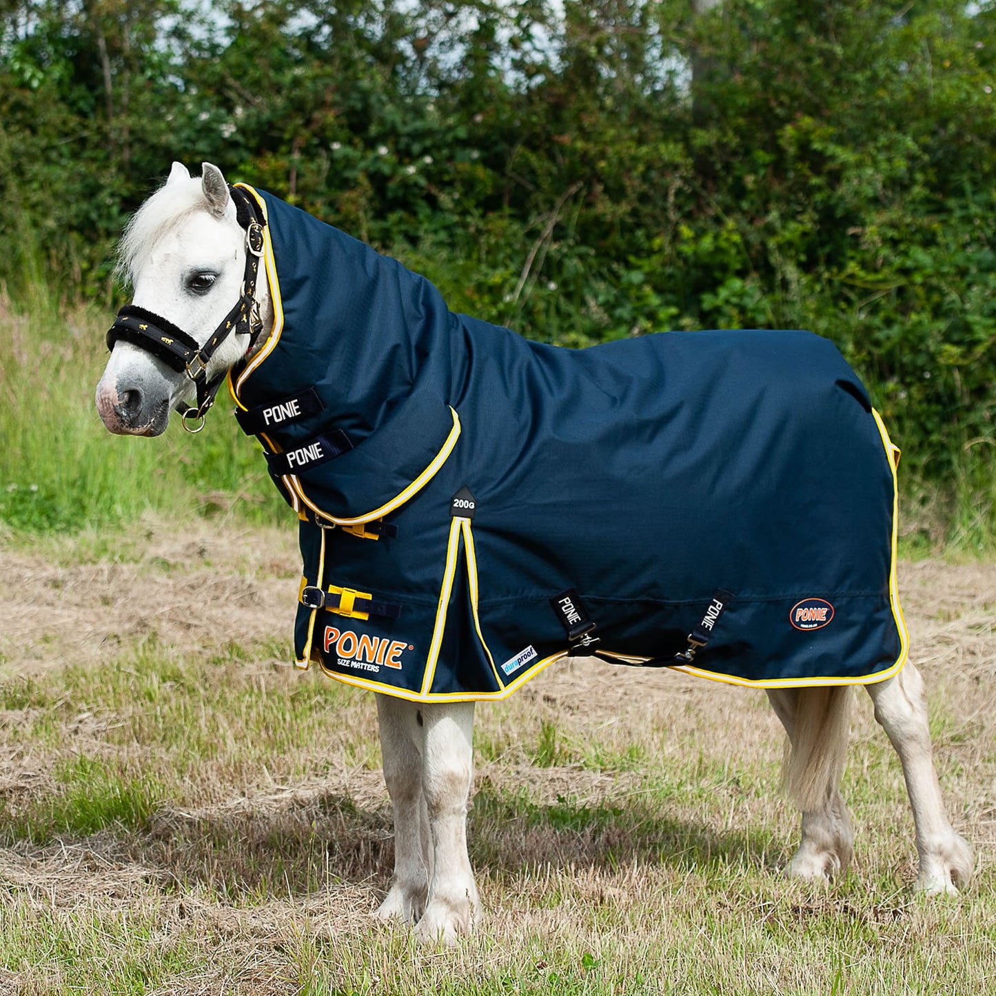 Gallop Ponie Duraproof 200g Turnout Combo Navy