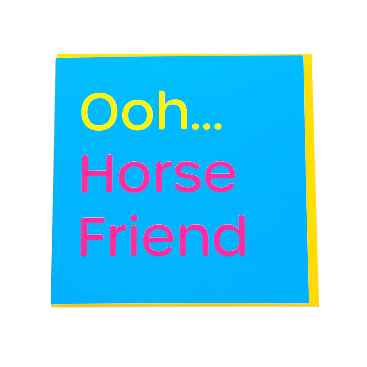 Gubblecote Humourous Greetings Card Horse Friend