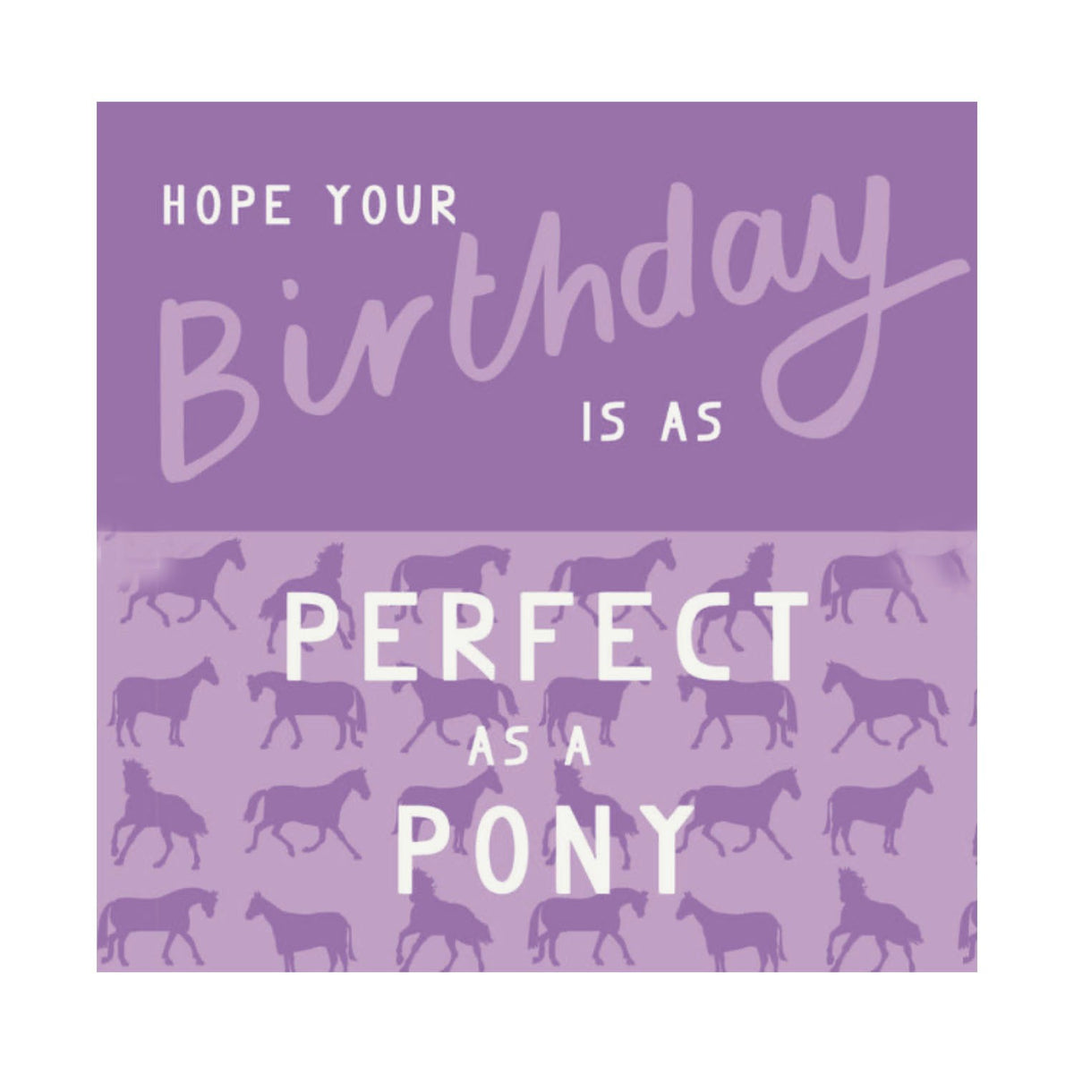 Gubblecote Beautiful Greetings Card Perfect as a Pony