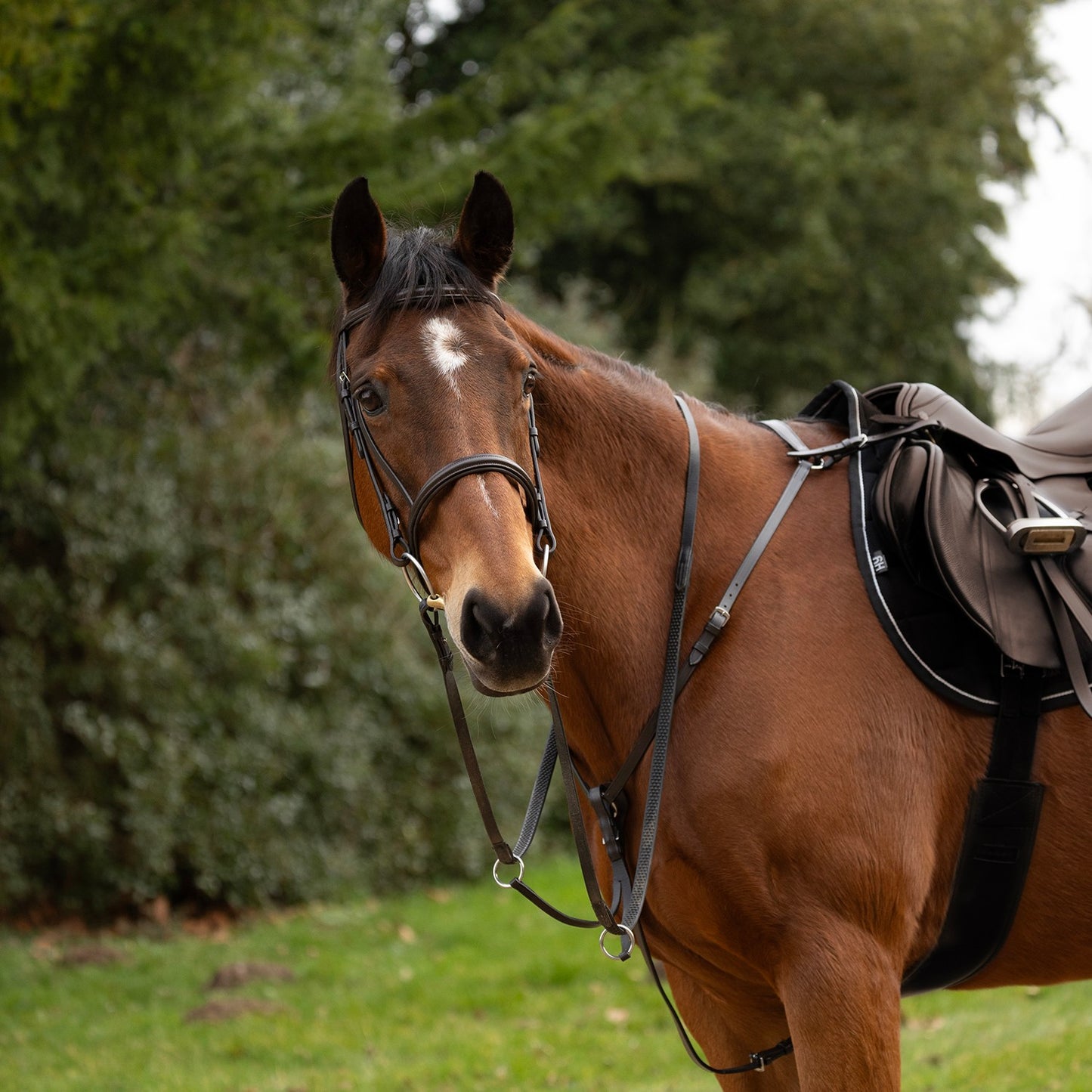 Hy Equestrian Hunting Breastplate Brown - Xfull