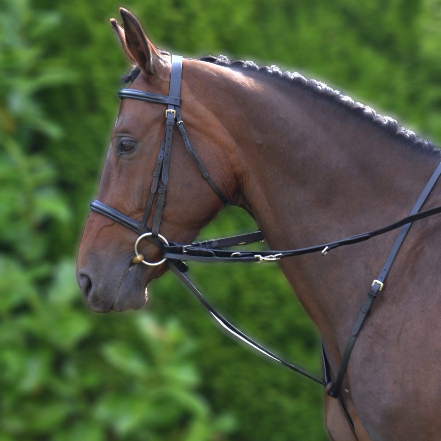 Hy Equestrian Market Harborough Black - Cob/Full