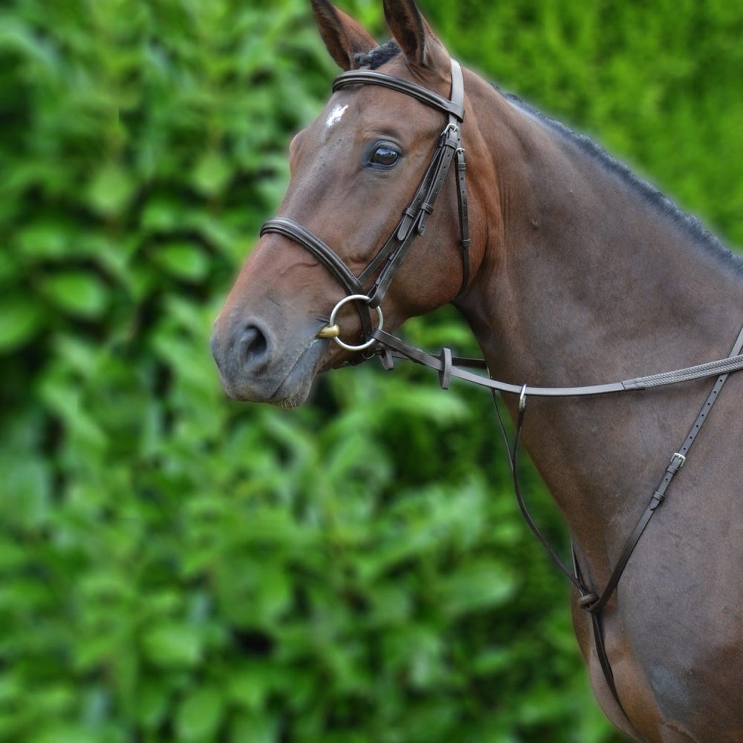 Hy Equestrian Running Martingale Brown - Full