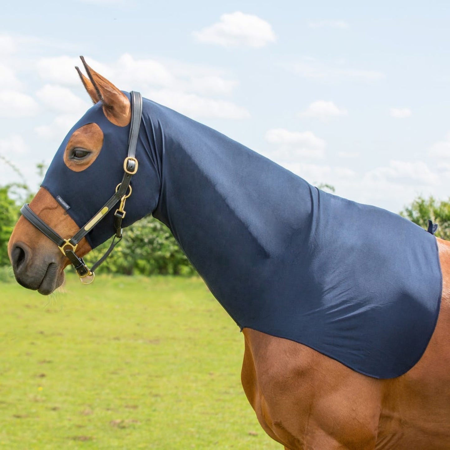 Hy Equestrian Lycra Flex Hood Navy - Pony