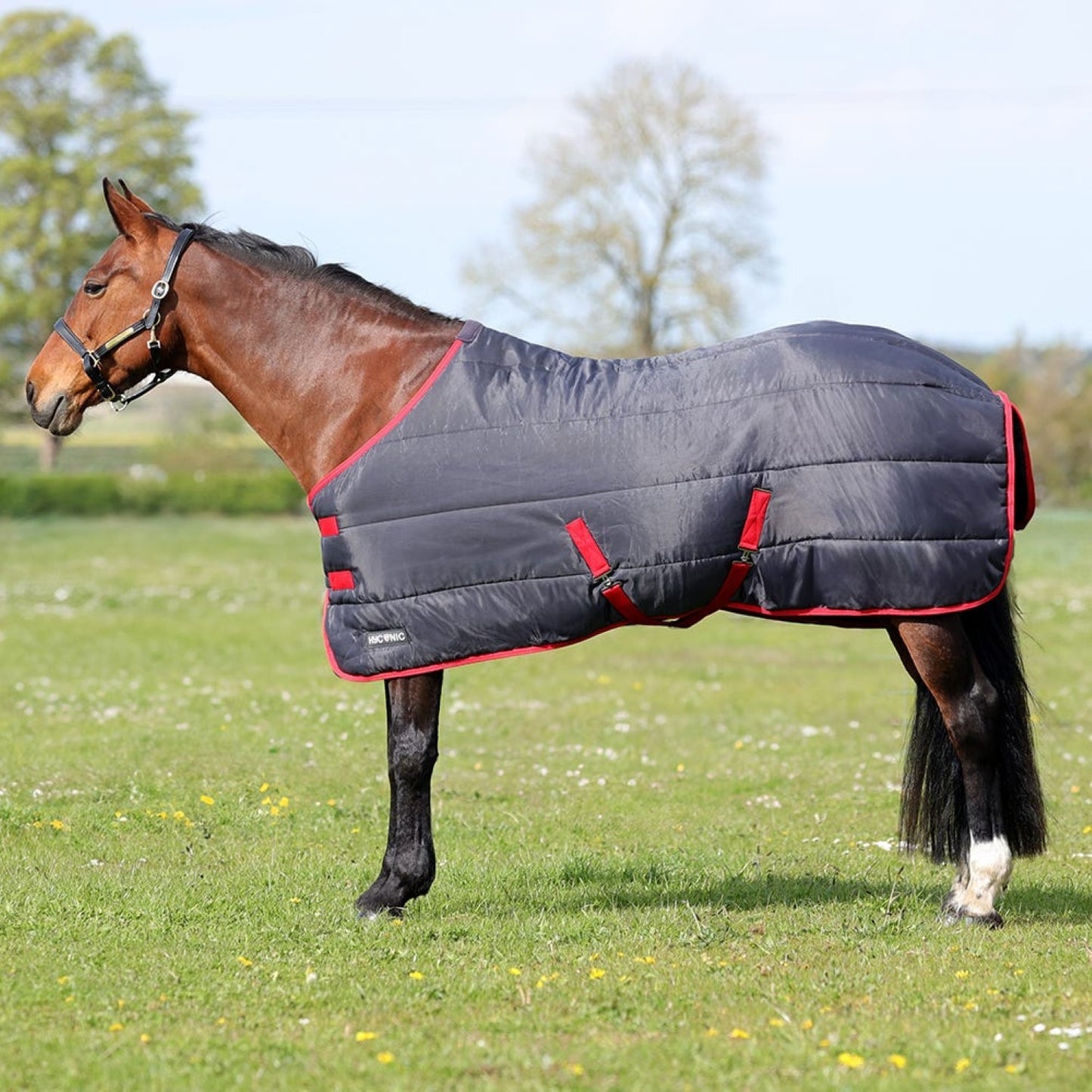 HyCONIC 250g Stable Rug