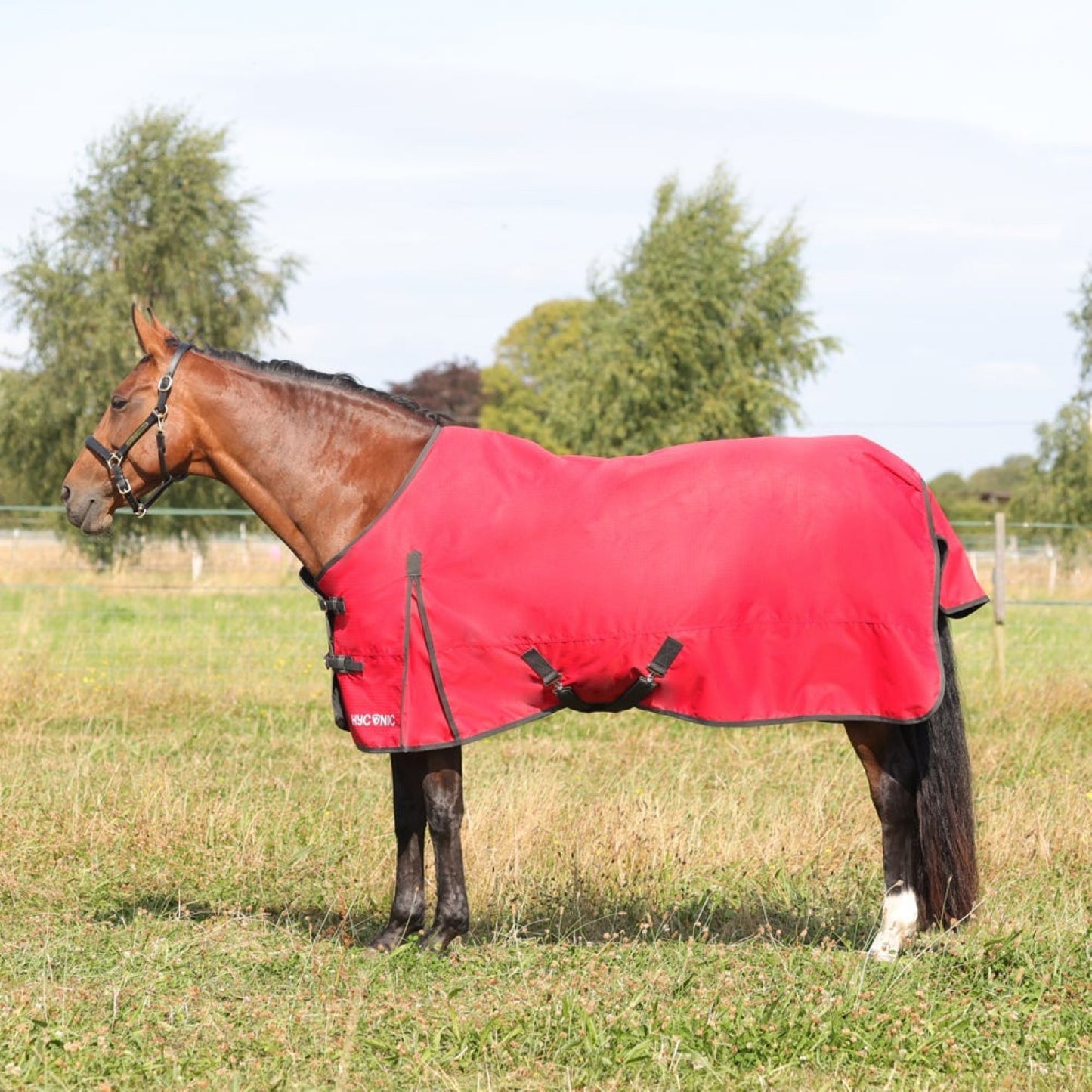 HyCONIC 100g Turnout Rug Red/Charcoal - 6' 3"