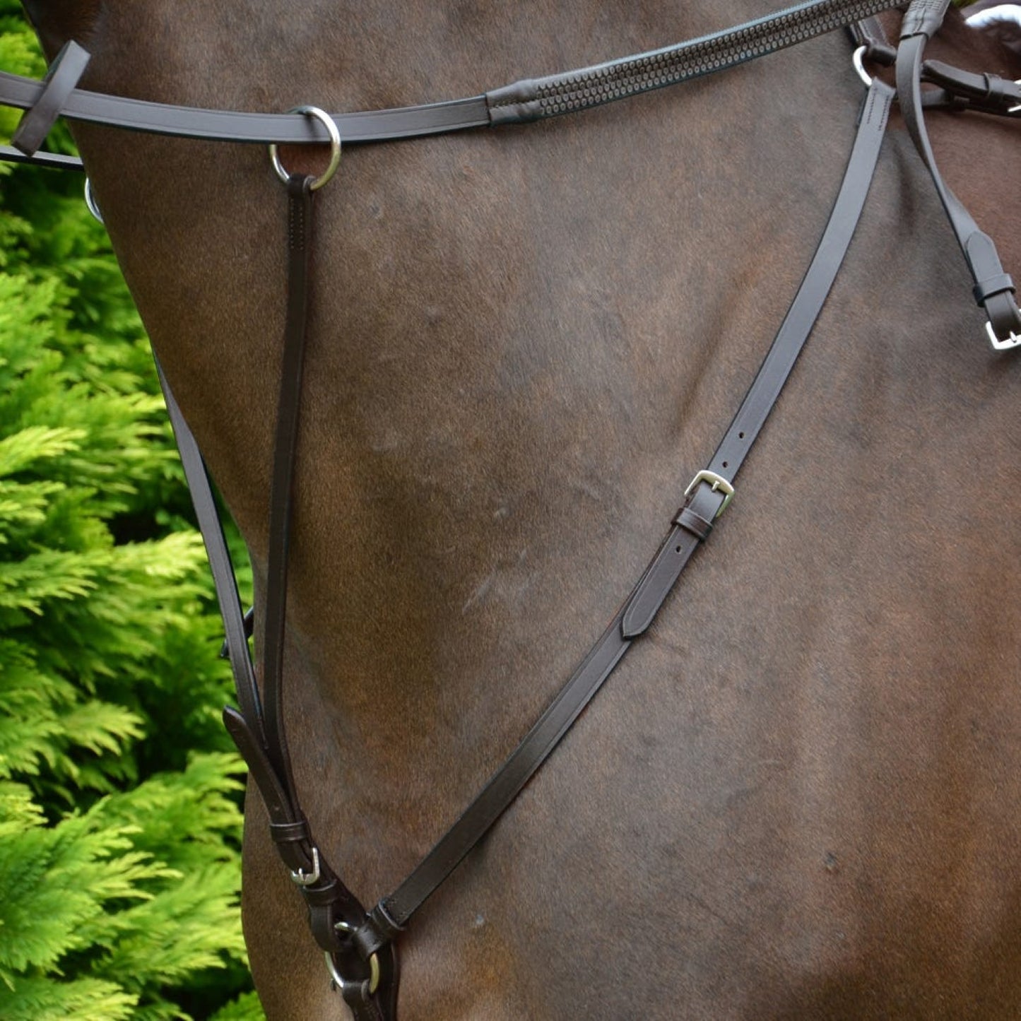 Hy Equestrian Hunting Breastplate Black - Full