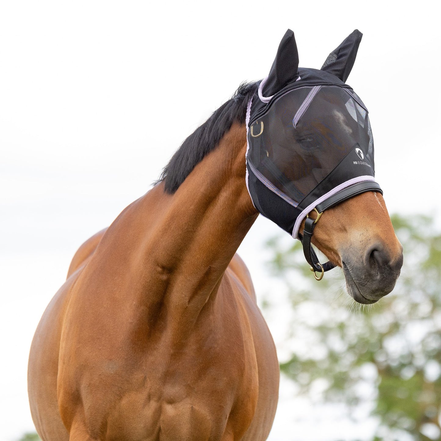 Hy Equestrian Mesh Half Fly Mask with Ears Black/Lilac - Pony