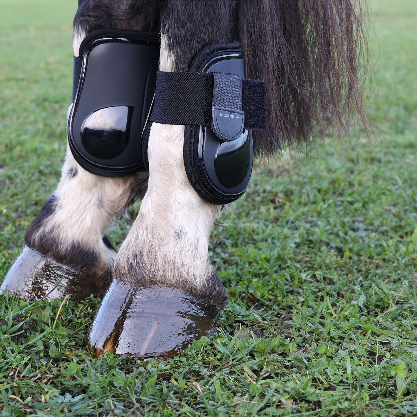 Hy Equestrian Pro Fetlock Boots Black - Large
