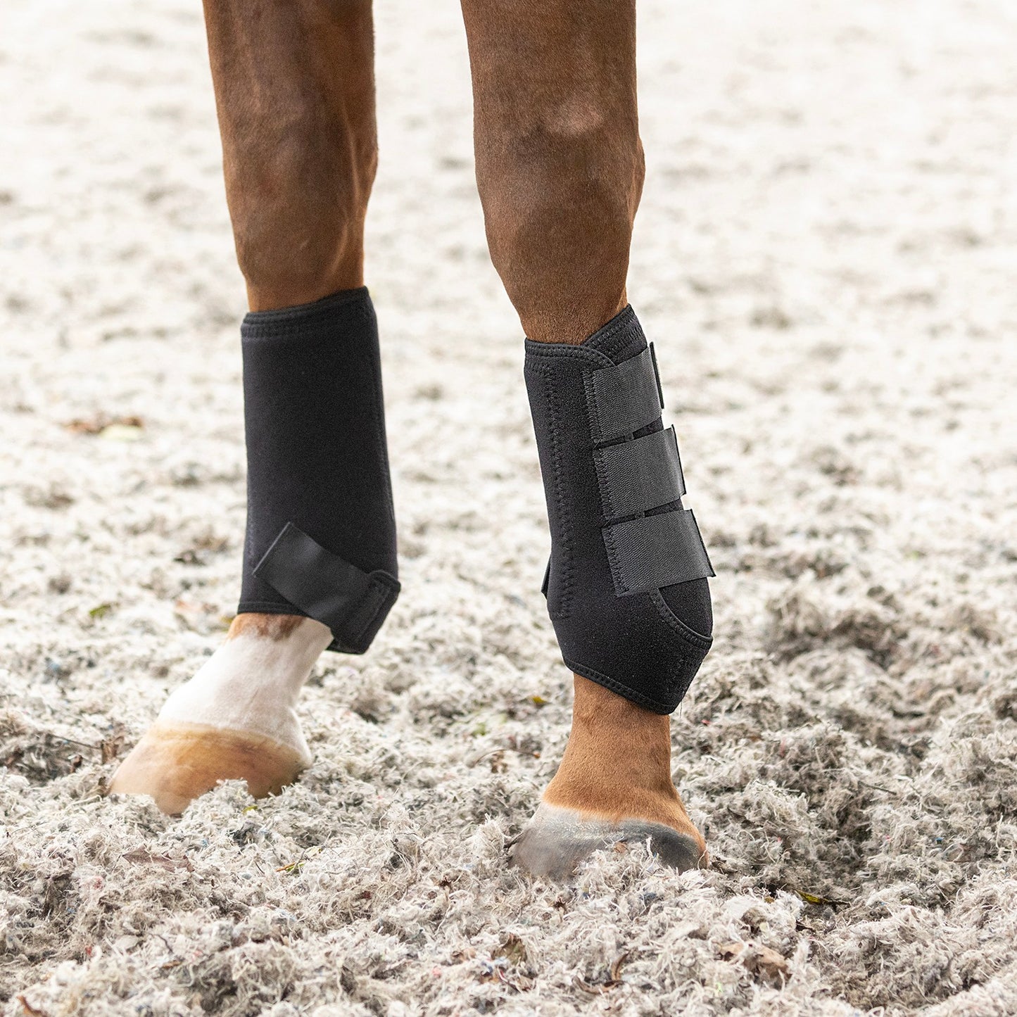 Hy Equestrian Sport Support Boots Black - Large