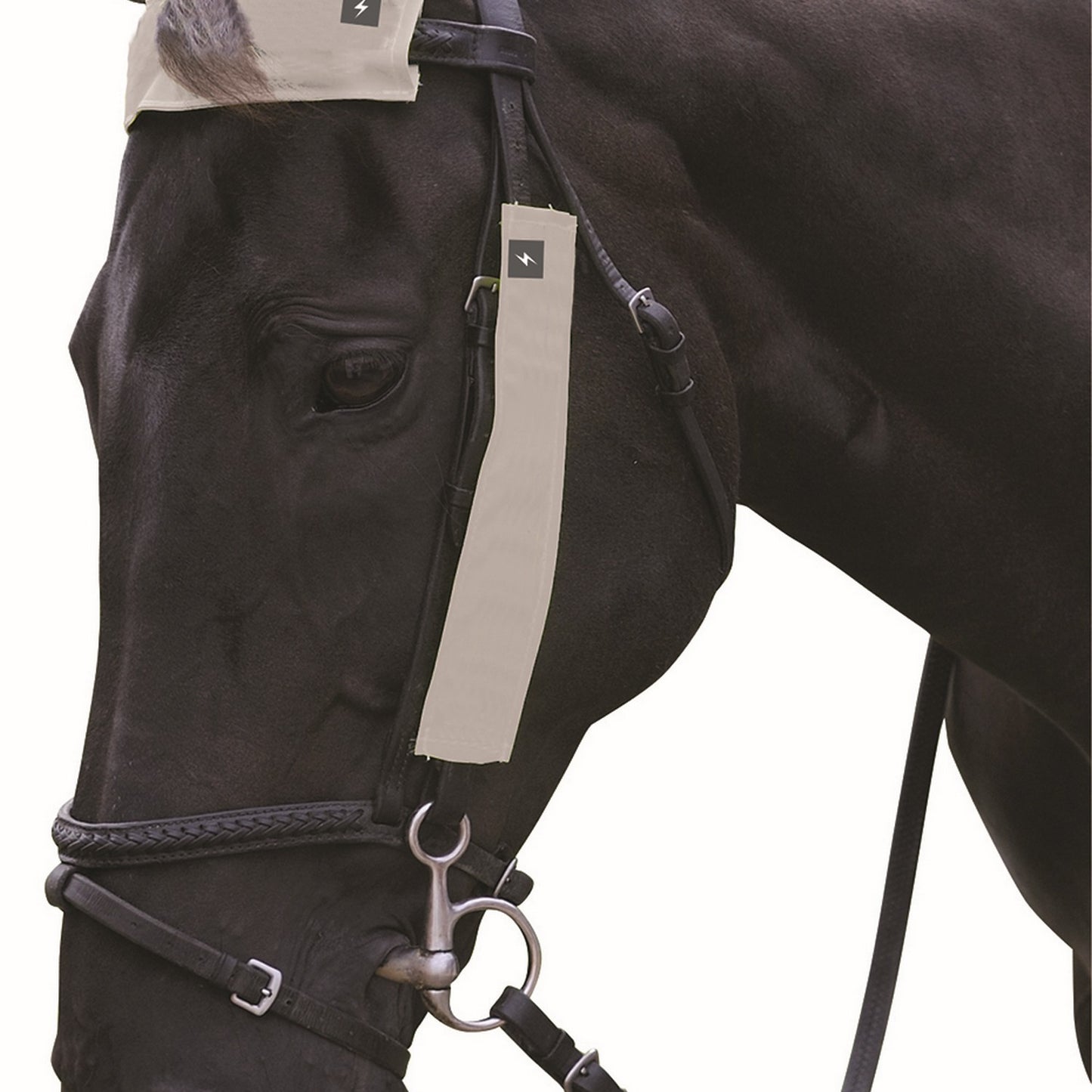 Silva Flash Reflective Bridle Set by Hy Equestrian Reflective Silver - 3 Pieces