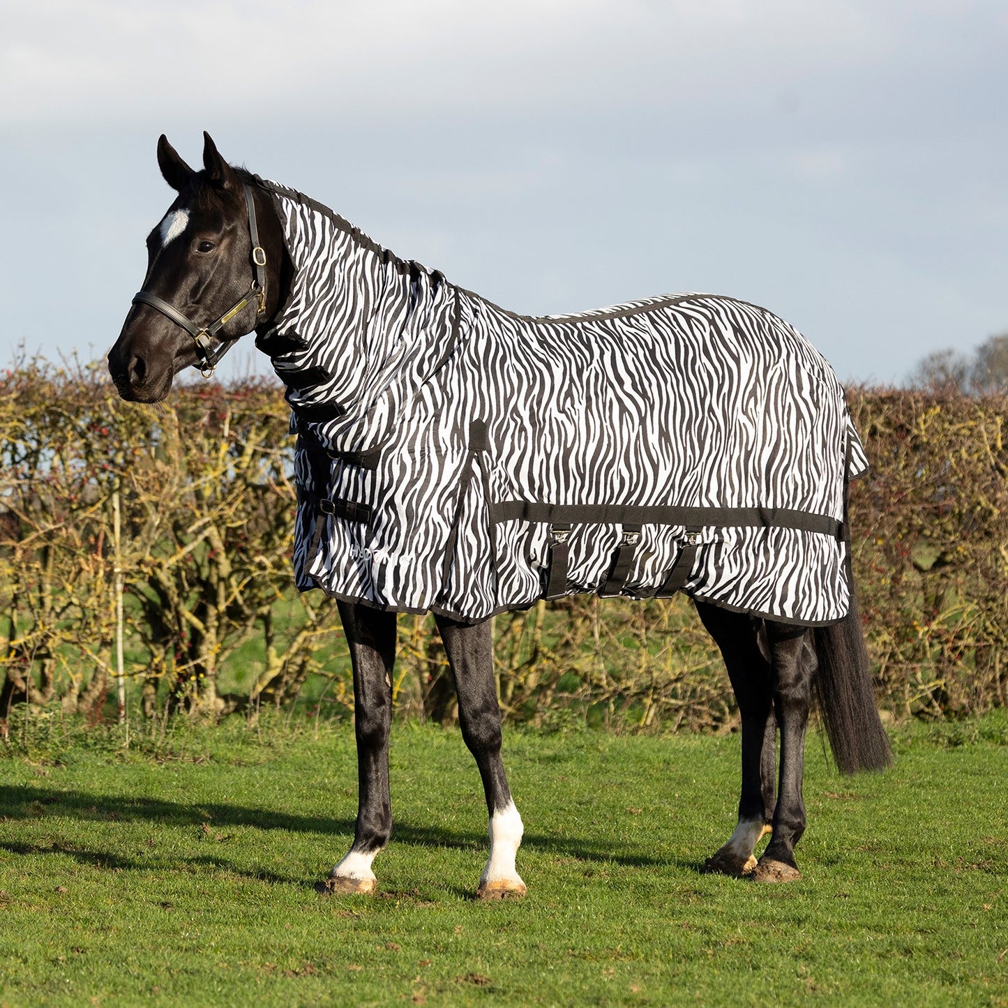 HyCONIC Zebra Combi Fly Rug Black/White - 5' 0"