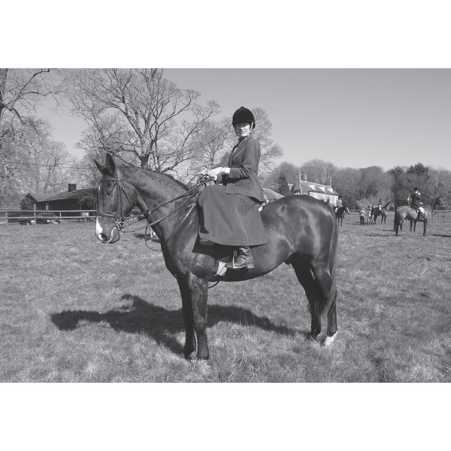 Kevin Milner Countryside Cards Side Saddle