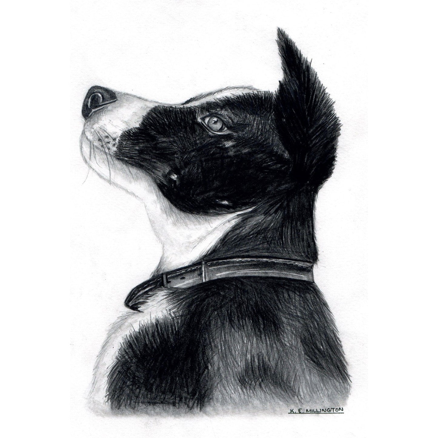 Kevin Milner Countryside Cards Collie Dog Art