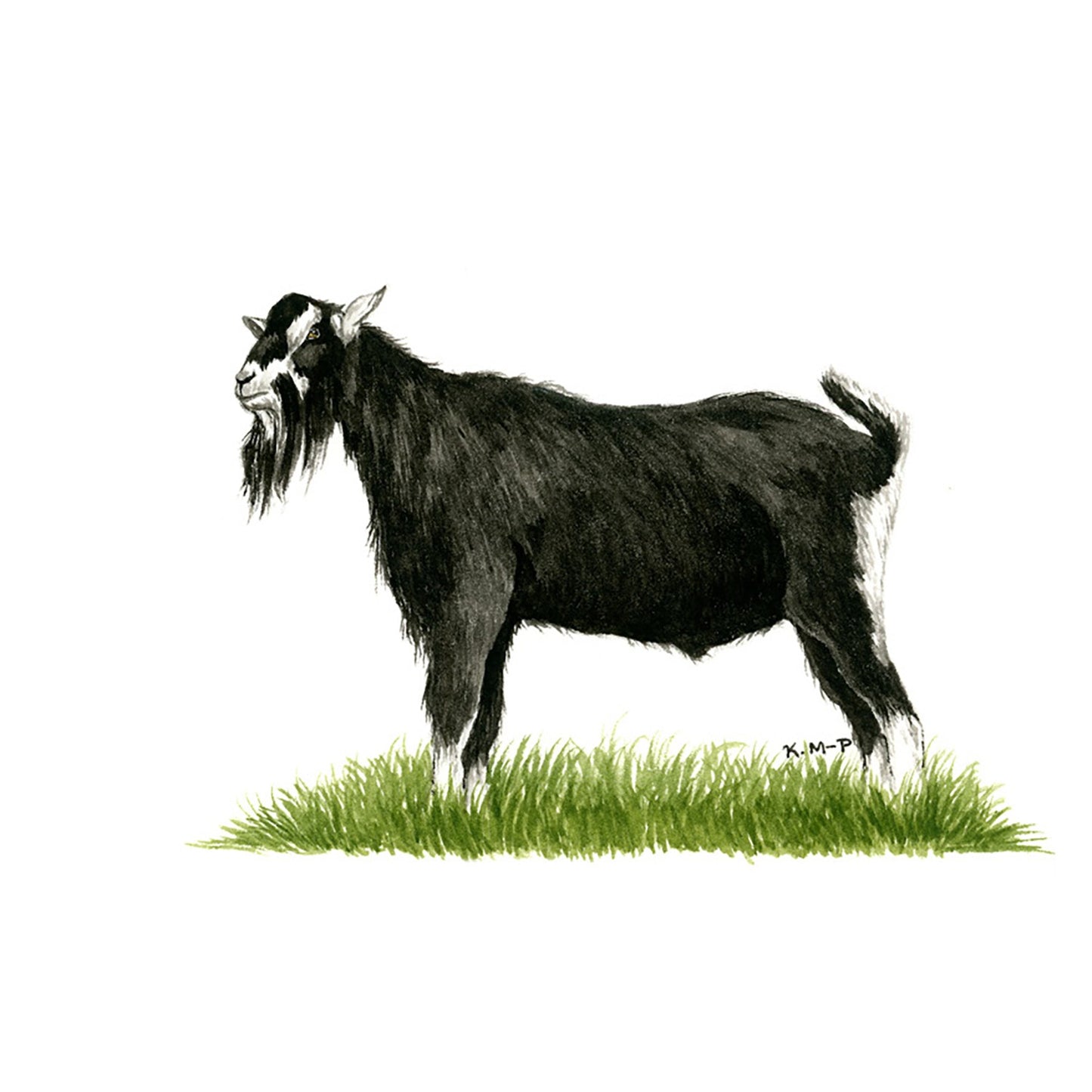 Kevin Milner Countryside Cards British Alpine Goat