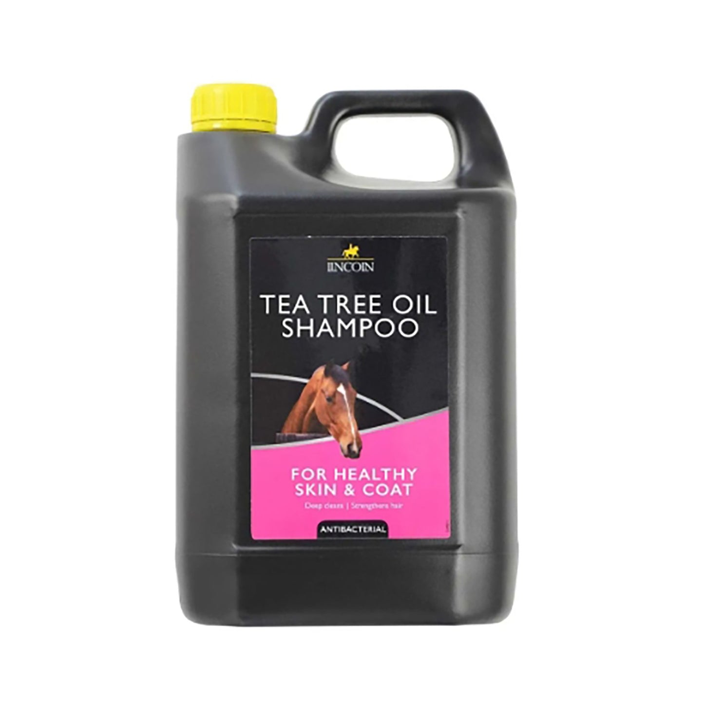 Lincoln Tea Tree Oil Shampoo - 4 Lt