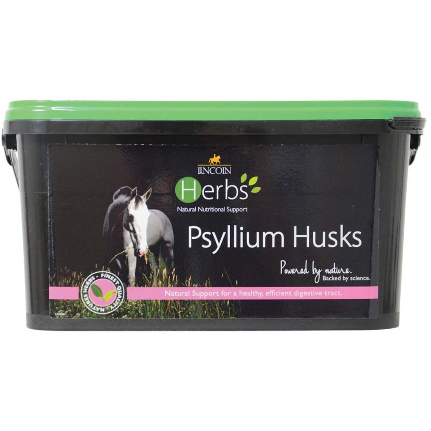 Lincoln Herbs Psyllium Husks - 1.5 Kg