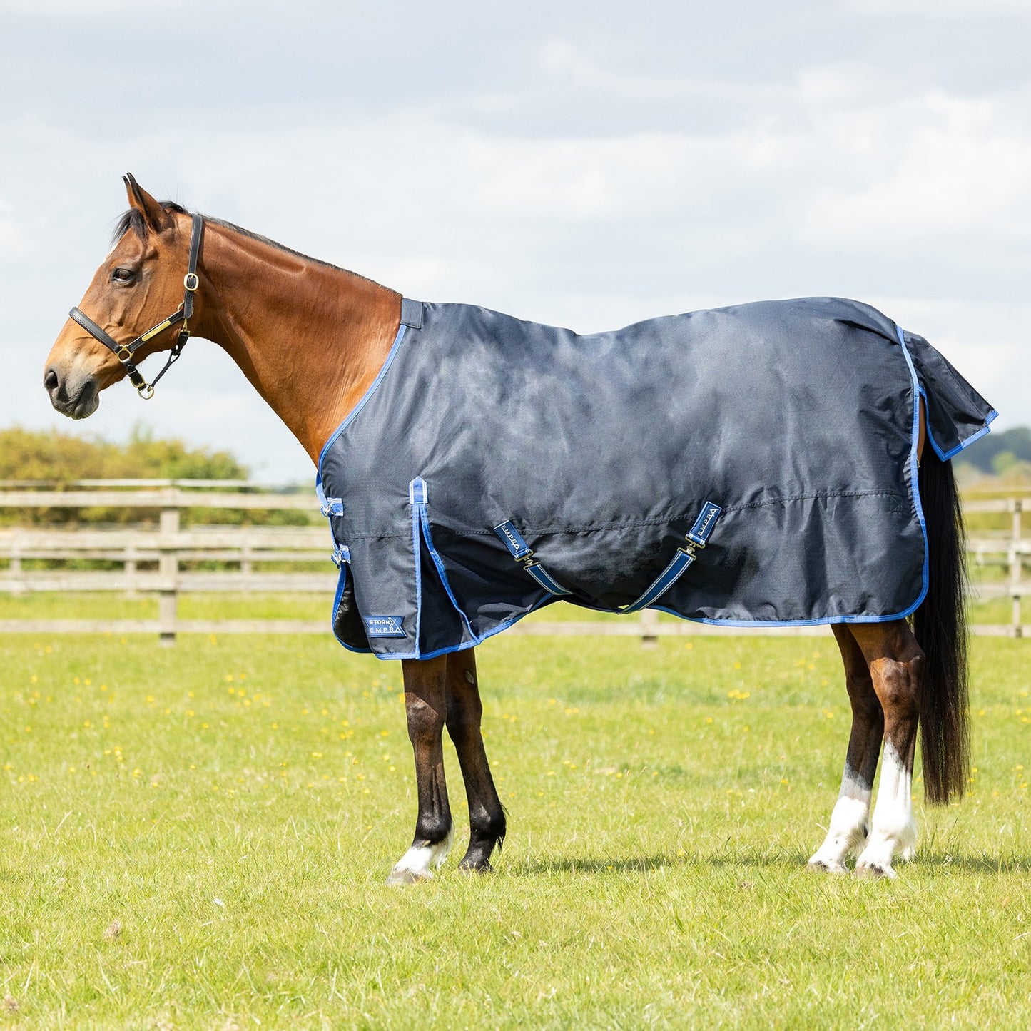 StormX Empra Reflect 0g Turnout Rug Navy - 4' 9"