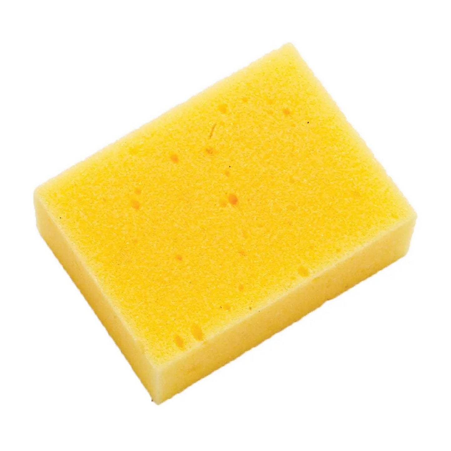 Supreme Products Sponge - Small