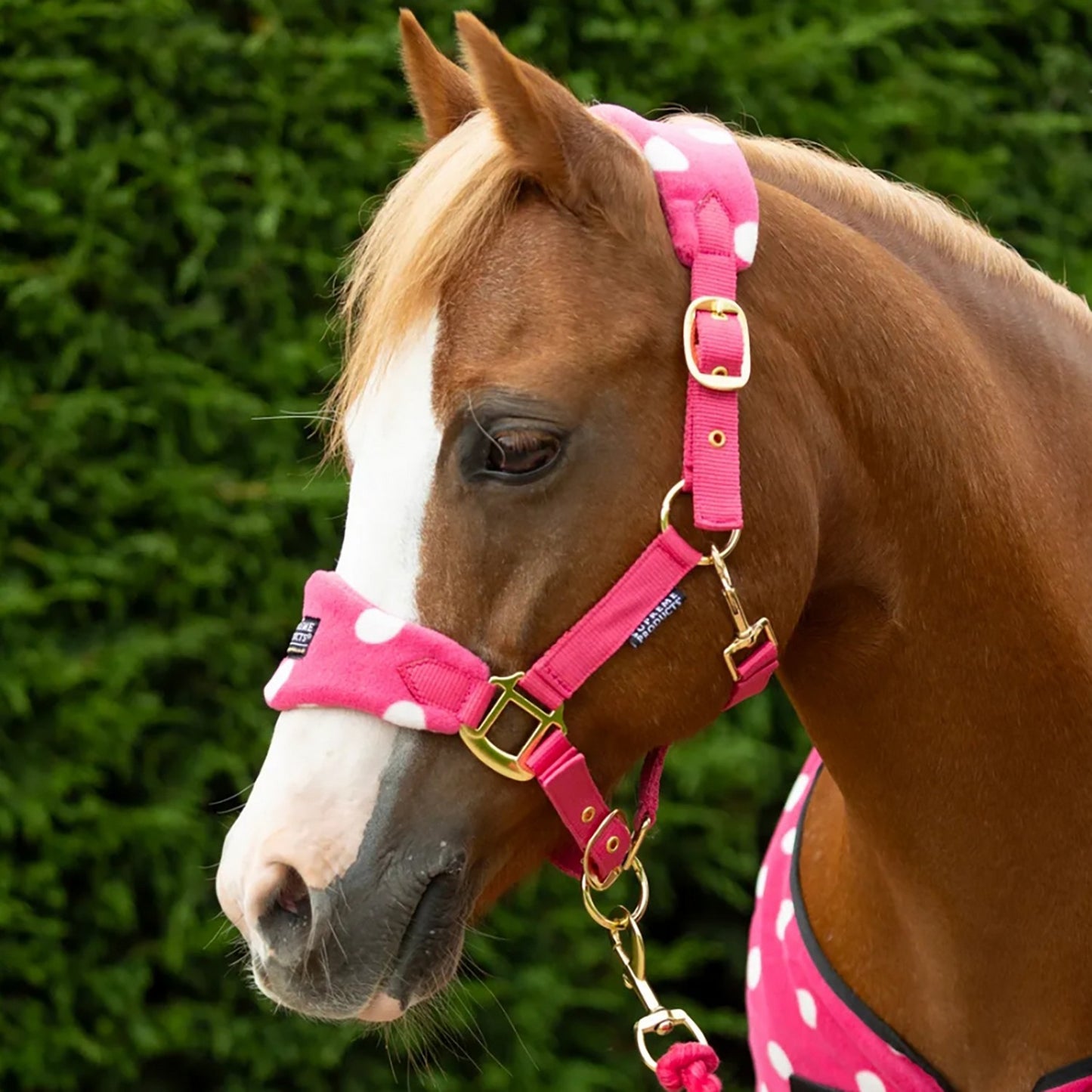 Supreme Products Dotty Fleece Headcollar & Lead Rope Paradise Pink - Full