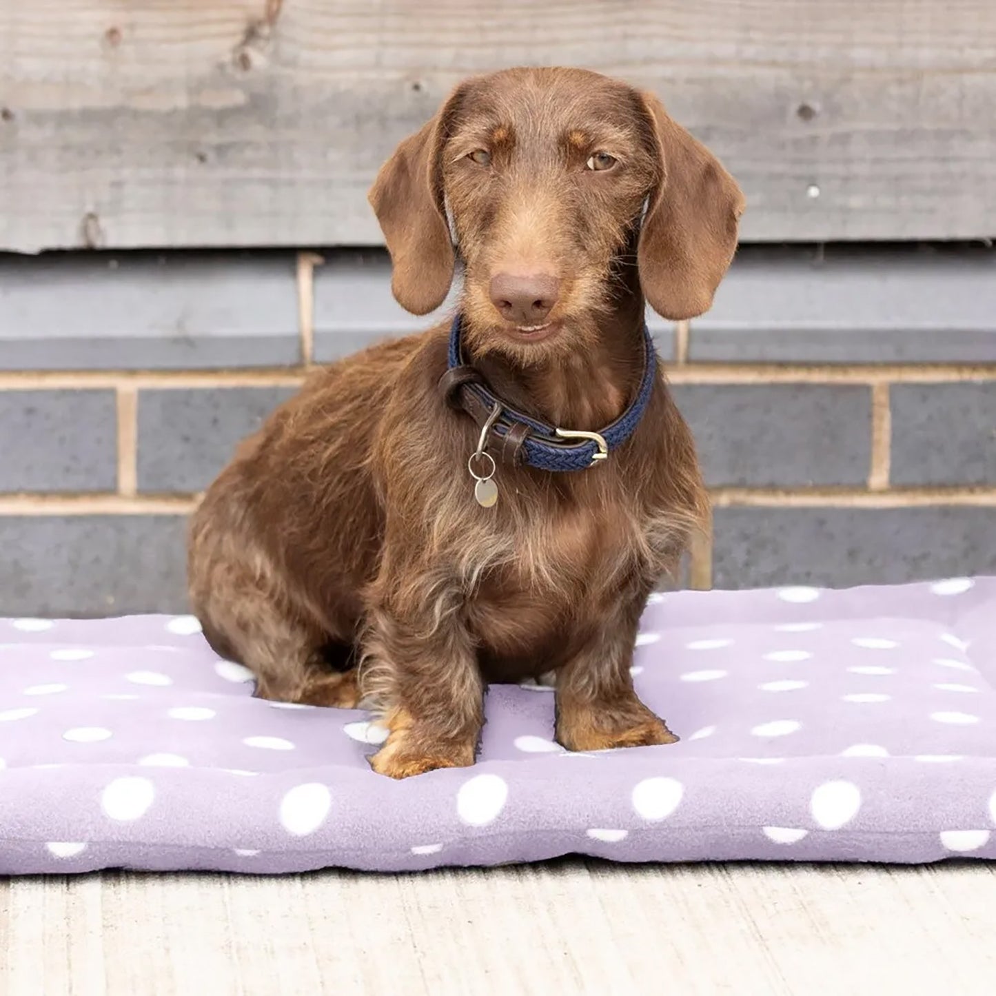 Supreme Products Dotty Fleece Dog Bed Lavish Lilac - 60 x 80 Cm