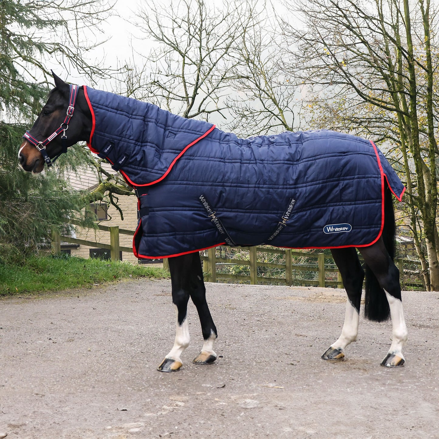 Whitaker Rastrick Stable Rug V2 Detachable Neck Combo 250 Gm Navy