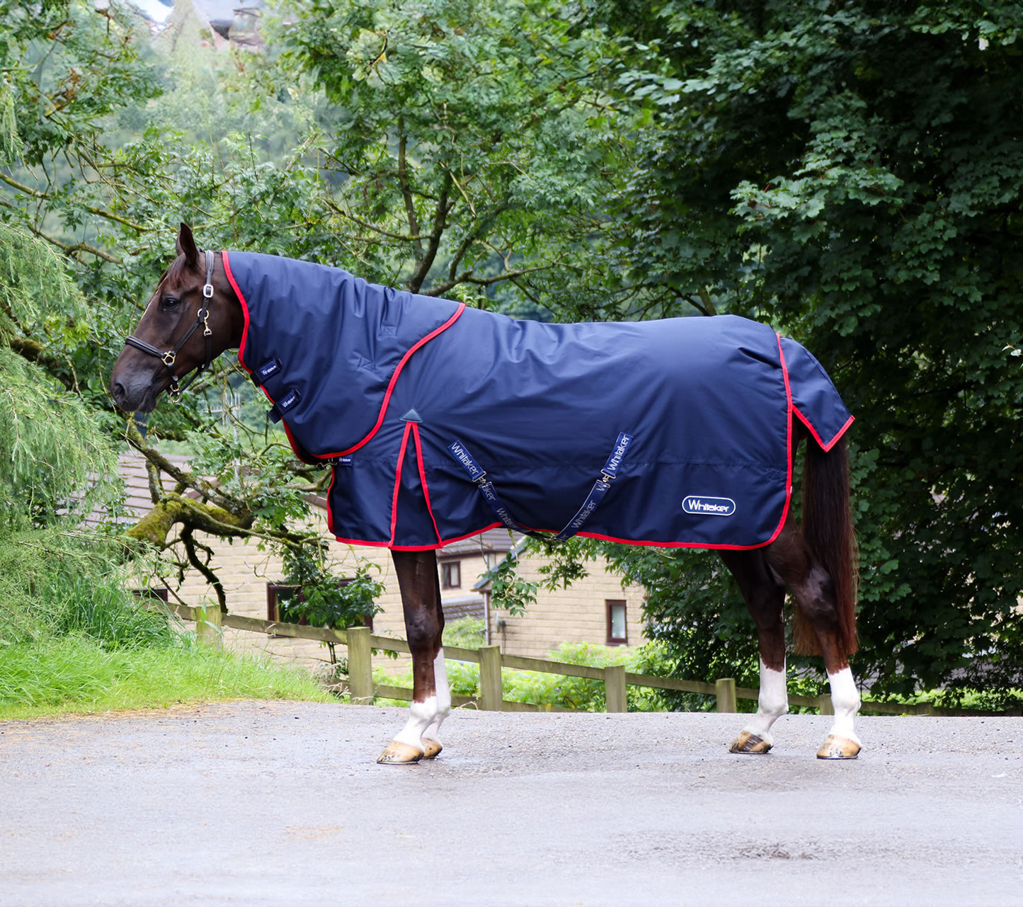 Whitaker Rastrick Turnout Rug V2 Detachable Neck Combo 250 Gm