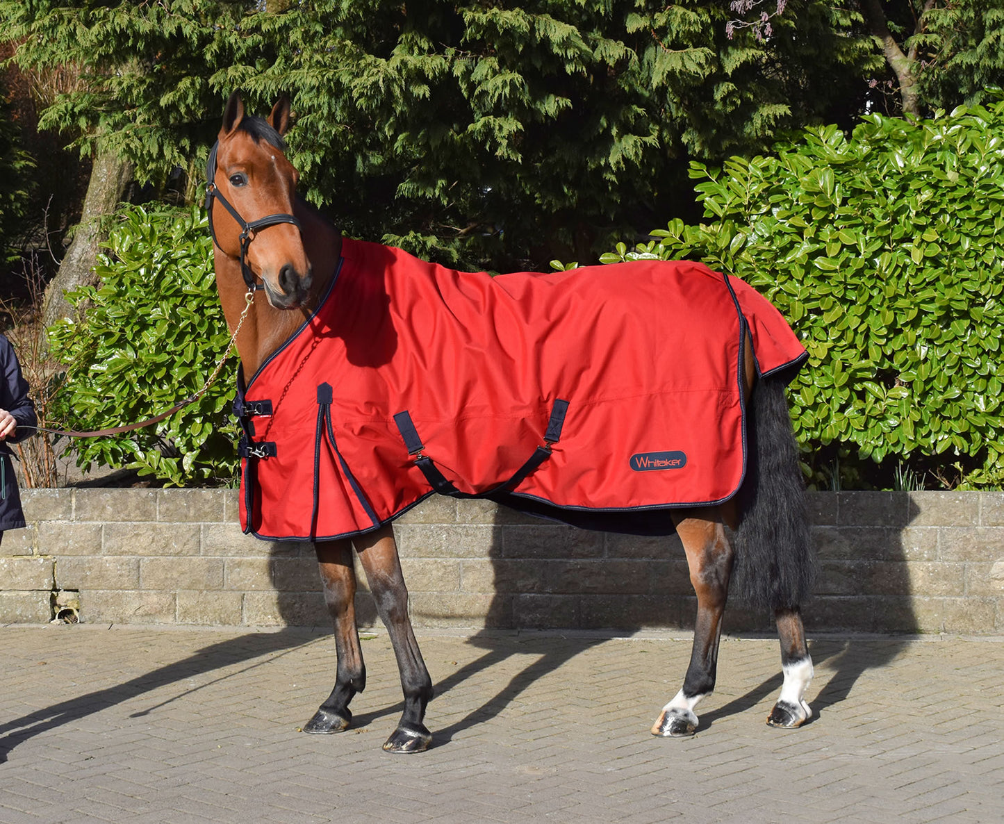 Whitaker Rastrick Turnout Rug 0 Gm Red