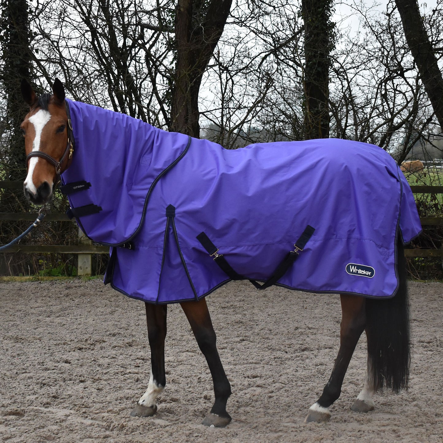 Whitaker Rastrick Turnout Rug Combo 0 Gm Purple