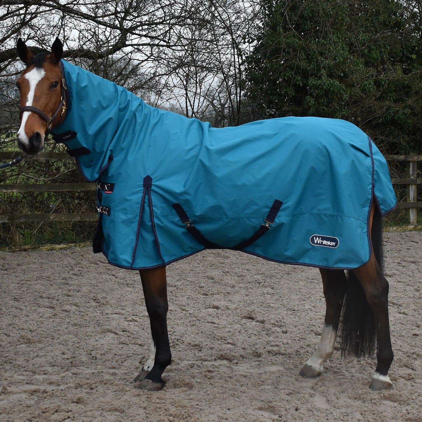 Whitaker Rastrick Turnout Rug Fixed Neck 0 Gm Turquoise