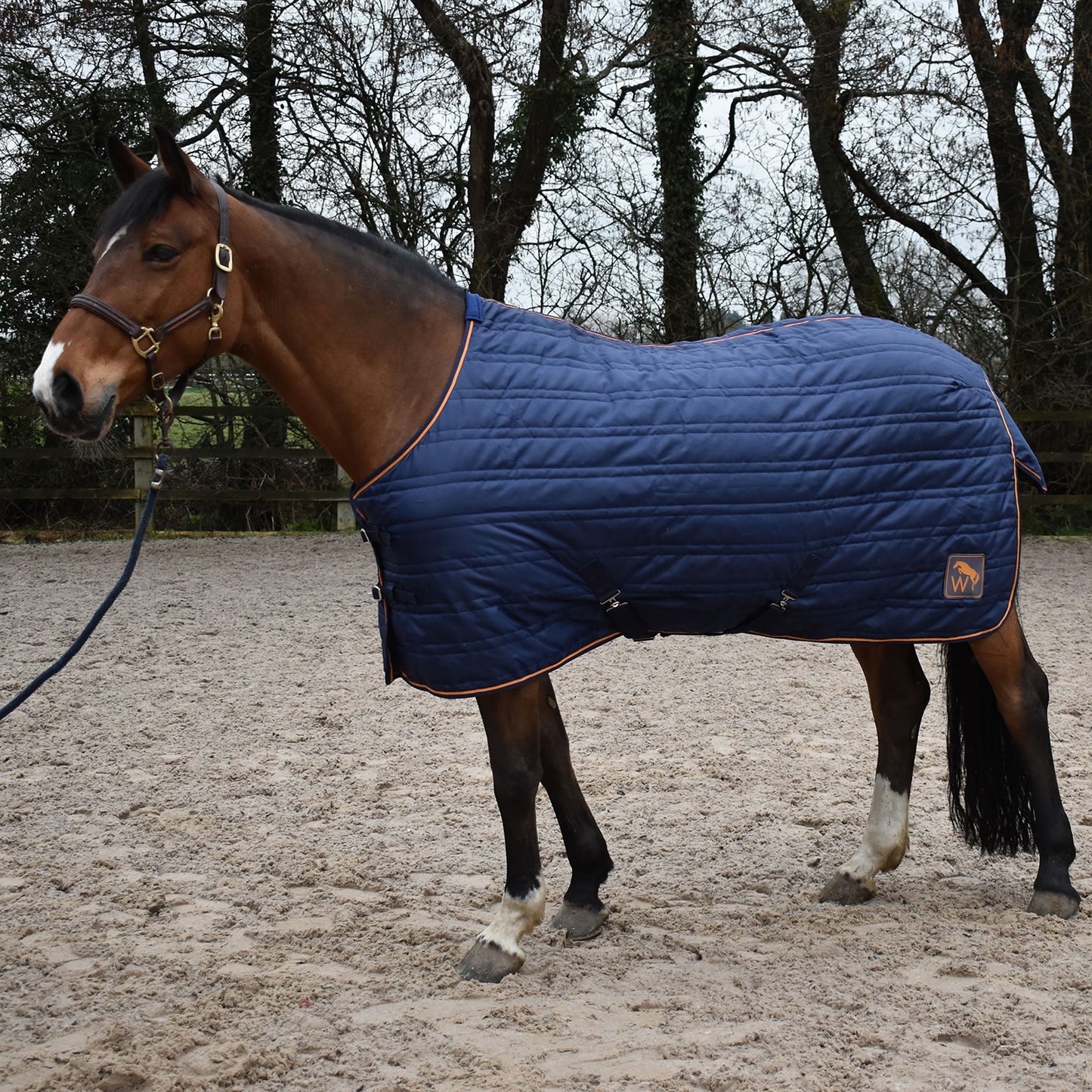 Whitaker Pippa Stable Rug 100 Gm