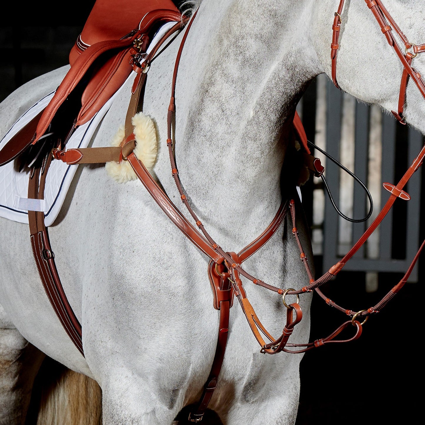 Whitaker BP052 Valencia 5 Point Breastplate