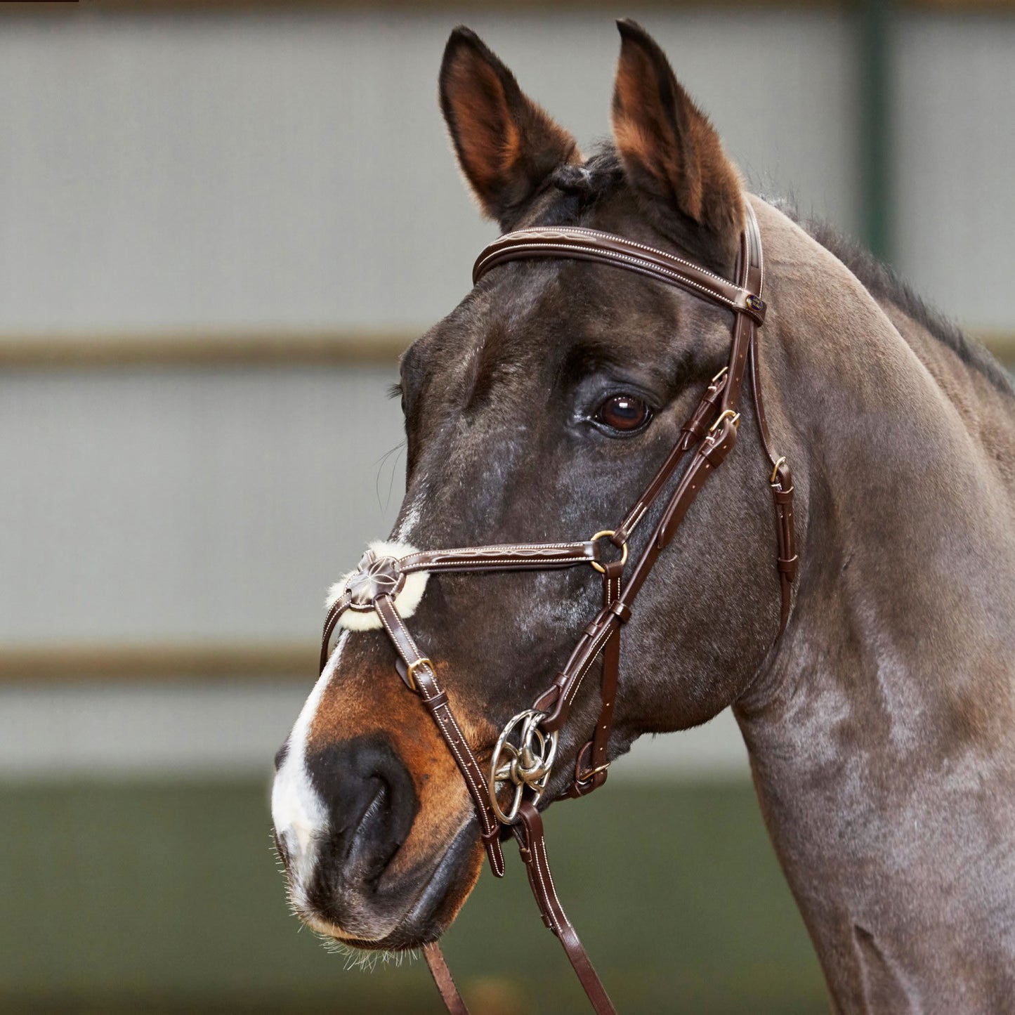 Whitaker BR052 Valencia Super Deluxe Mexican Bridle with Reins