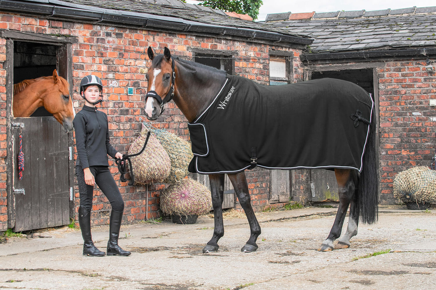 Whitaker R160 Club Show Rug Black