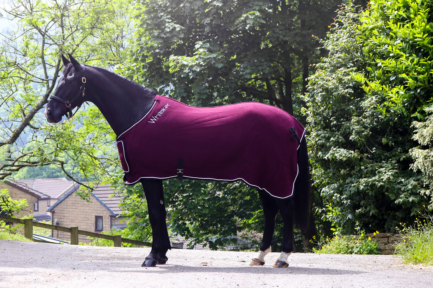 Whitaker R160 Club Show Rug Burgundy