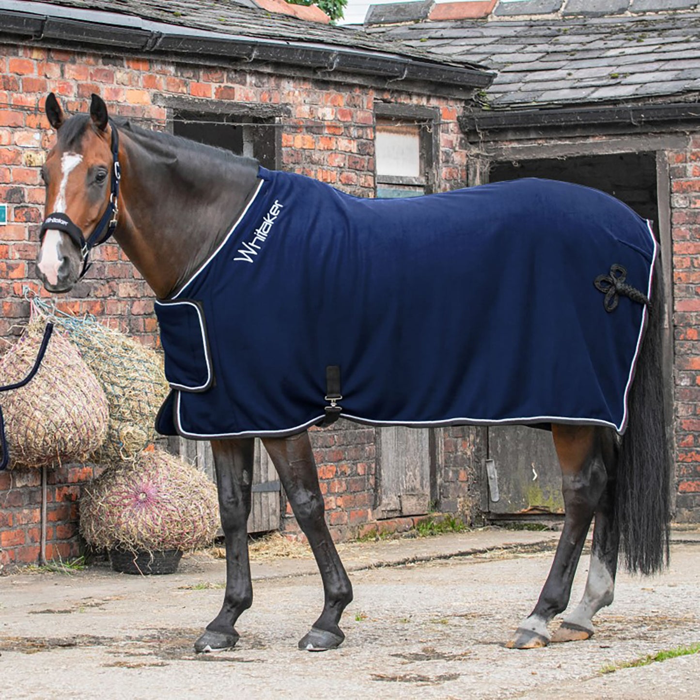Whitaker R160 Club Show Rug Navy
